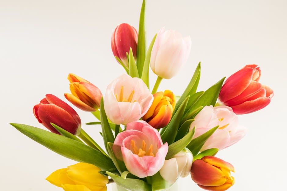 A colorful arrangement of tulips symbolizing spring's beauty and freshness.